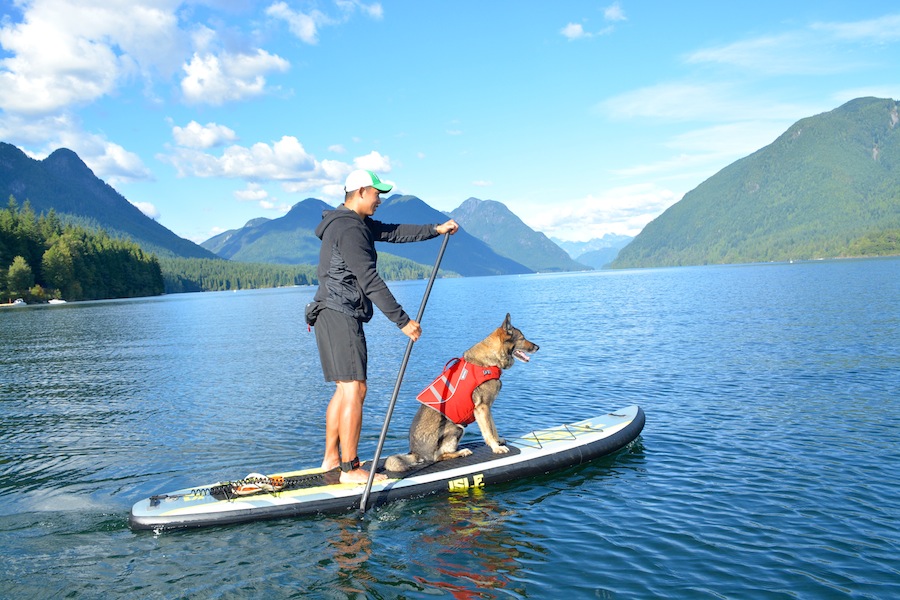 Best SUP's For Paddling With Dogs